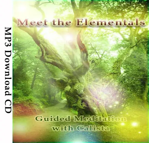MeetTheElementalsSoulImmersion
