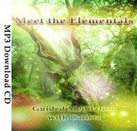 MeetTheElementalsSoulImmersion200x192
