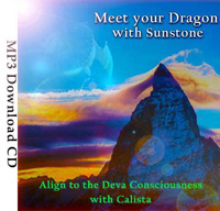 MeetYourDragonSoulImmersion200x192