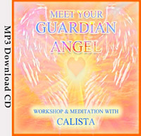 MeetYourGuardianAngelSoulImmersion200x192