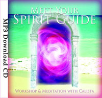 MeetYourSpiritGuideSoulImmersion200x192
